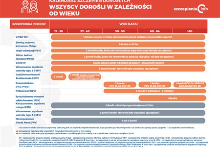 Kalendarz szczepień dla dorosłych